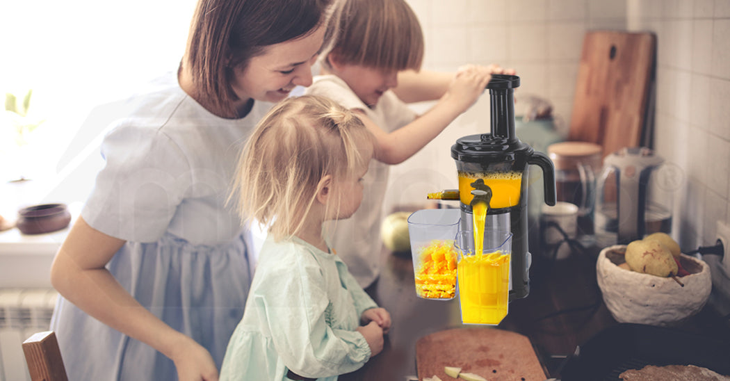 NNEMB Cold Press Slow Juicer with Sorbet function-Whole Fruit Chute